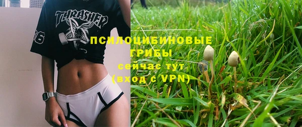 прущие грибы Алексин