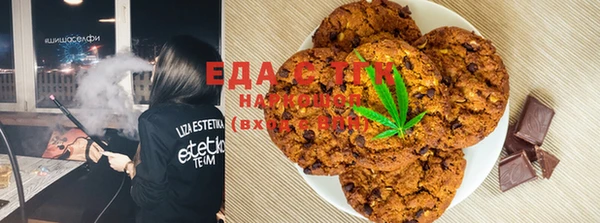 ECSTASY Алзамай